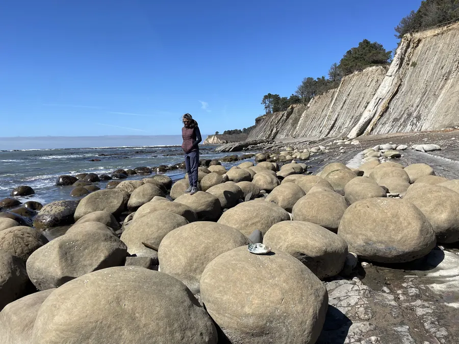 A visitor stepping among the round sandstone formations at Bowling Ball Beach
