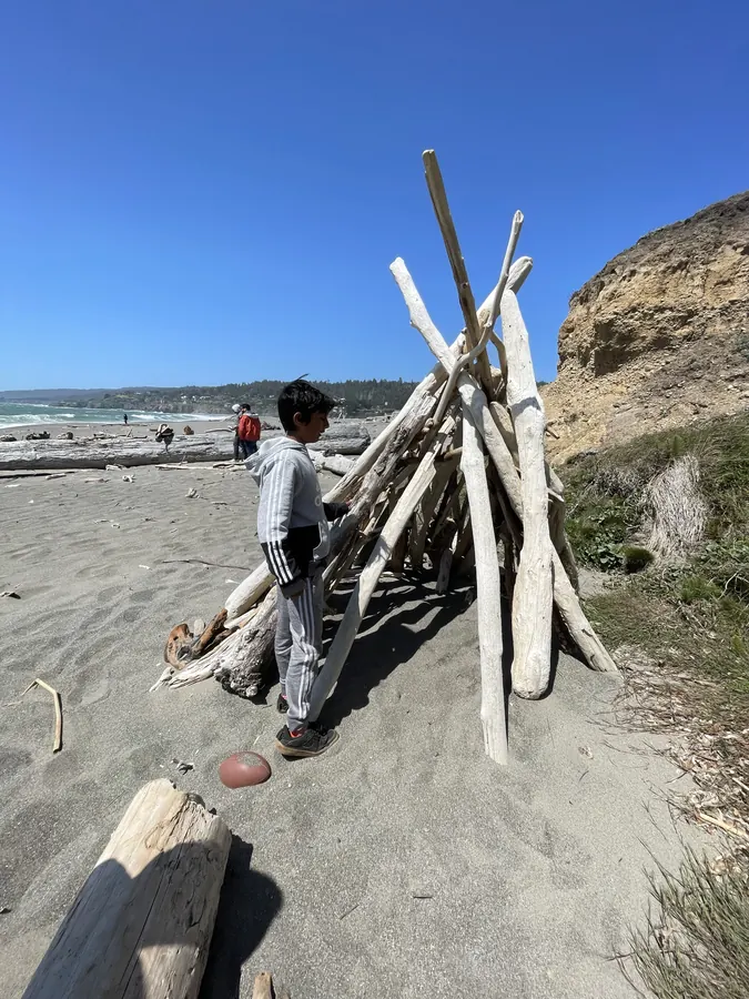 A child beside a tall driftwood shelter built on the sand at Gualala Point